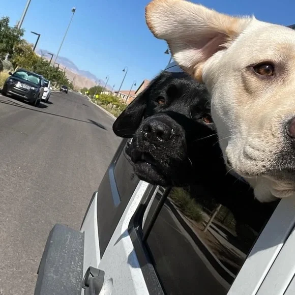 Quick list item - Picture 2 of 7